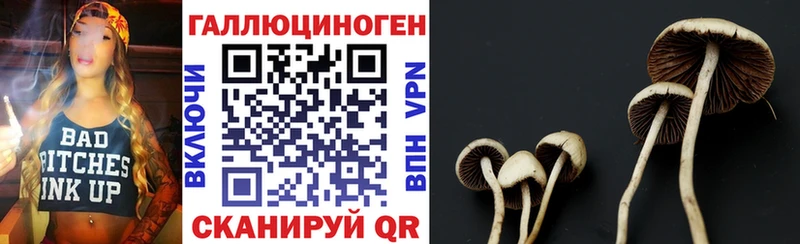 MEGA ONION это клад Артёмовск Псилоцибиновые грибы прущие грибы как найти закладки